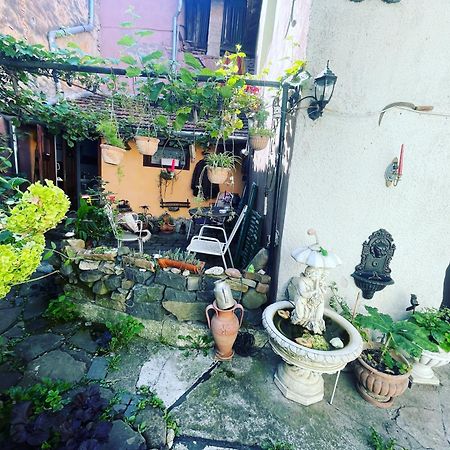Casa Morar Apartment ซิวิโชอารา ภายนอก รูปภาพ