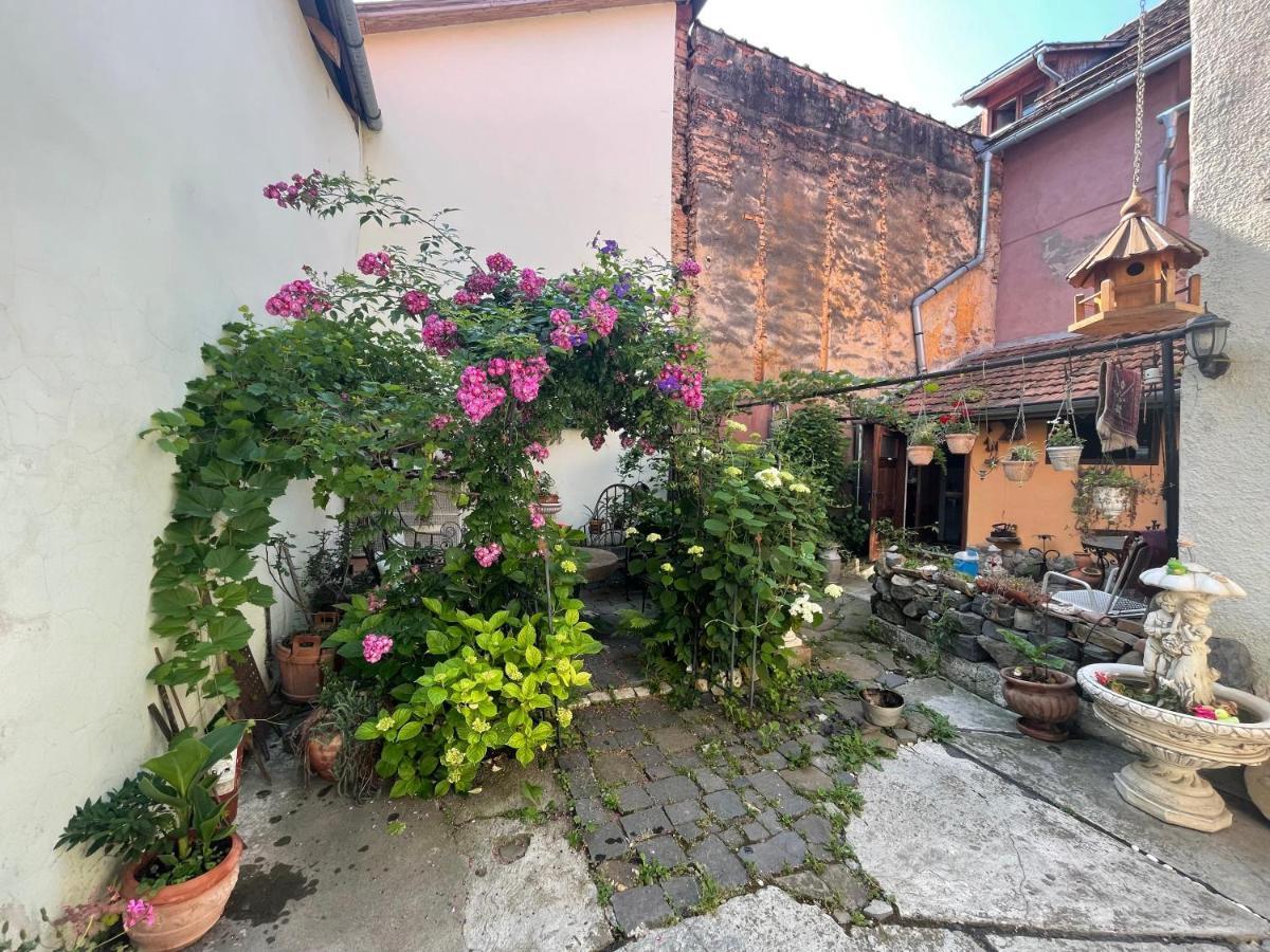 Casa Morar Apartment ซิวิโชอารา ภายนอก รูปภาพ